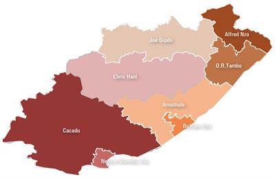 Utilizing the water-land-food security nexus to review the underperformance of smallholder farmers in the Eastern Cape, South Africa